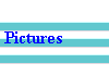  Pictures 